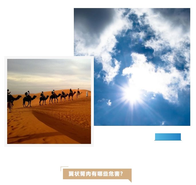 20250317a.png